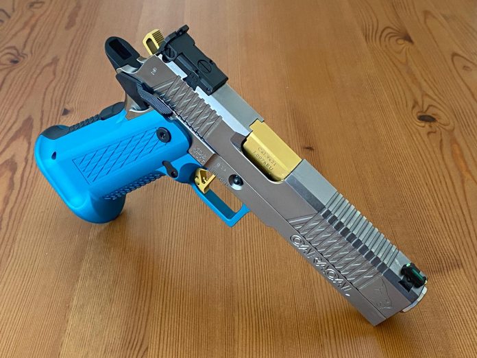 Caracal Lynx Azzurra